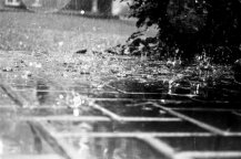 From_rain_and_tears_by_ArmoniaSilenziosa