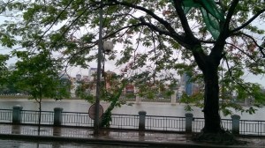 WP_20150516_07_36_42_Pro