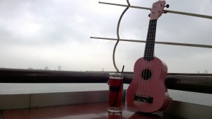 WP_20150517_08_27_08_Pro