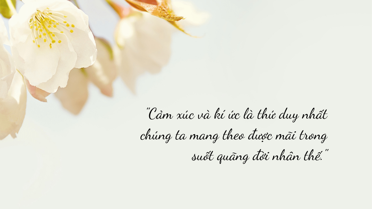 Ai đúng, ai&nbsp;sai?