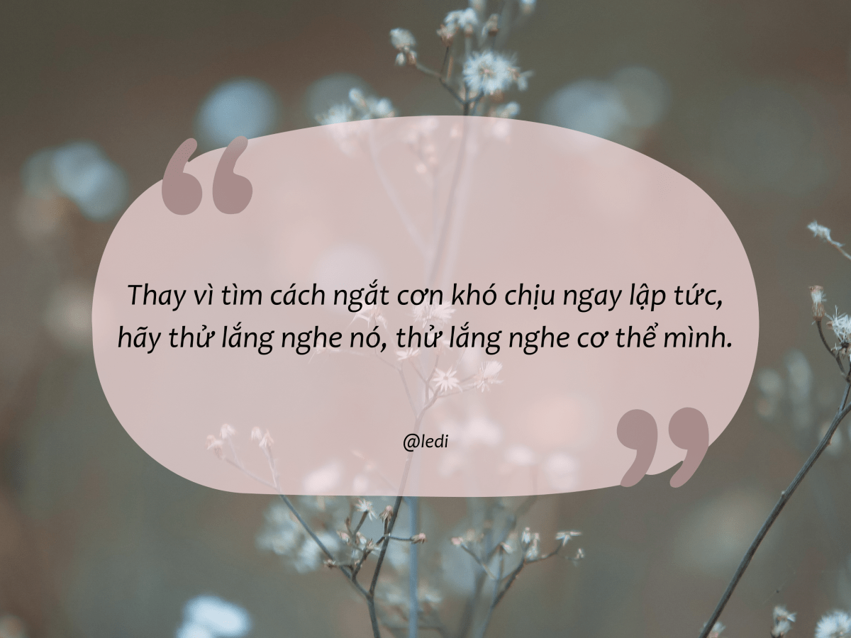 Lắng nghe cơ thể – Điều tiết sức khoẻ theo cách thấu hiểu và yêu&nbsp;thương